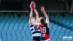 2019 Preliminary Final vs West Adelaide Image -5d750a150f398